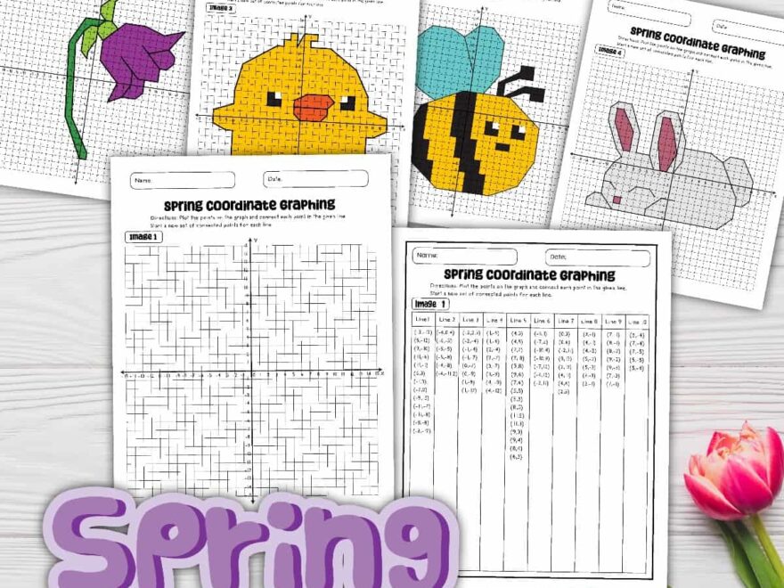 8 Free PDF Coordinate Graphing Picture Worksheets