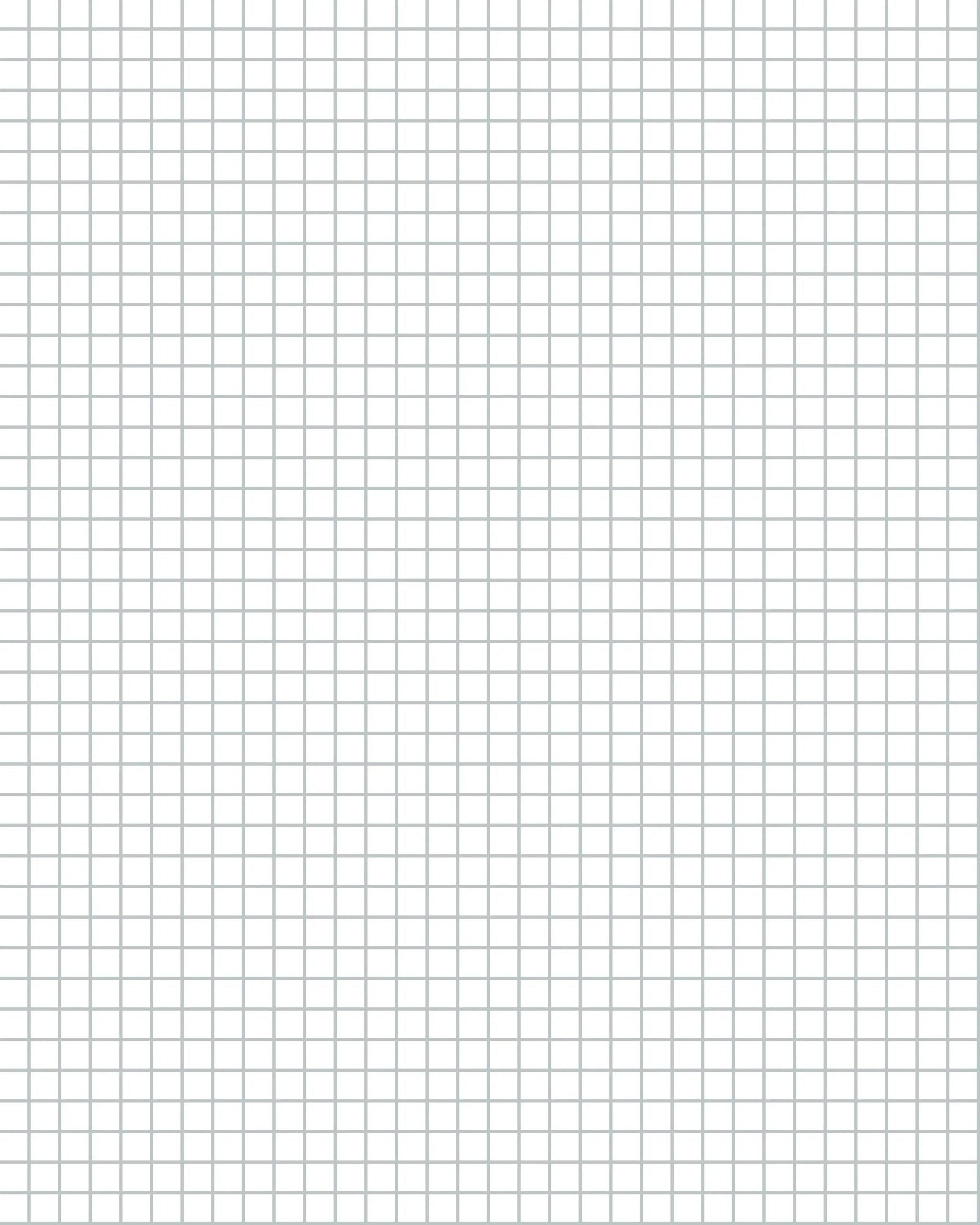 8x10 Graph Paper 25 Inch Digital File Etsy Australia