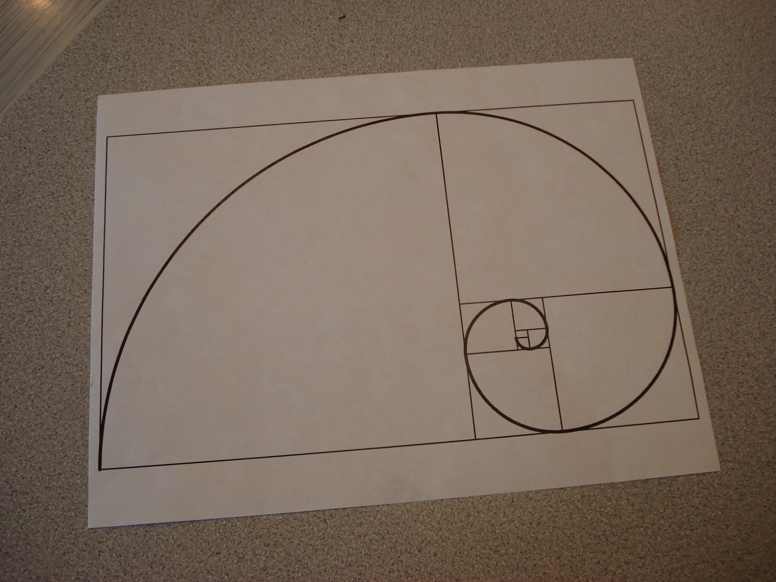Fibonacci Spiral Drawing With Graph Paper Fibonacci Spiral Drawing With Graph Paper