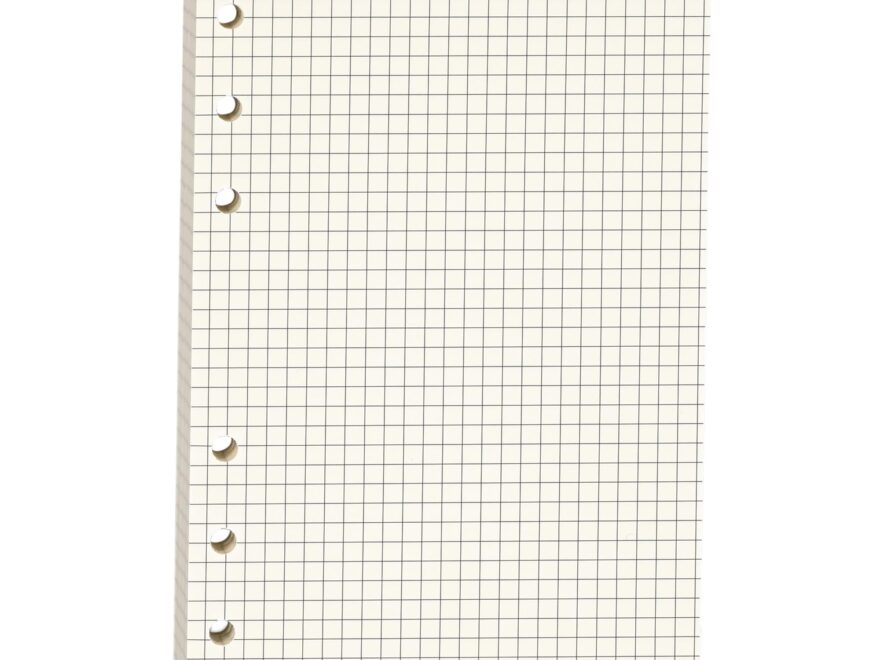Amazon A6 Grid Refill Paper A6 Graph Rule Paper Quad Rule Filler Paper 6 Hole Punched Loose Leaf Paper For 6 Ring Binders 80 Sheets 160 Pages 6 69 X 4 13 Inch Beige Office Products