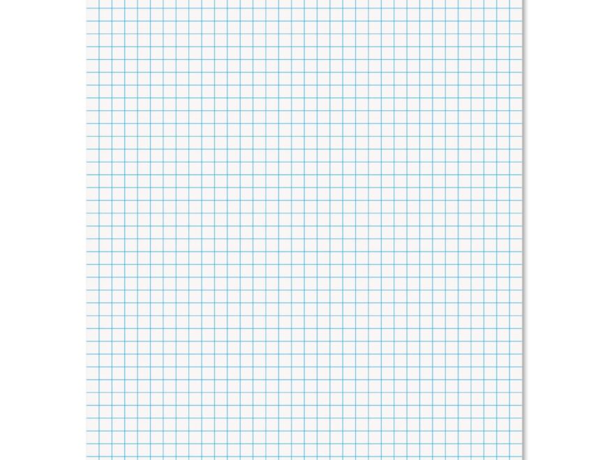 Amazon Ampad 8 1 2 X 11 Inches White Quad Pad 4 Square Inch 50 Sheets 1 Each 22 030C Graph Paper Office Products