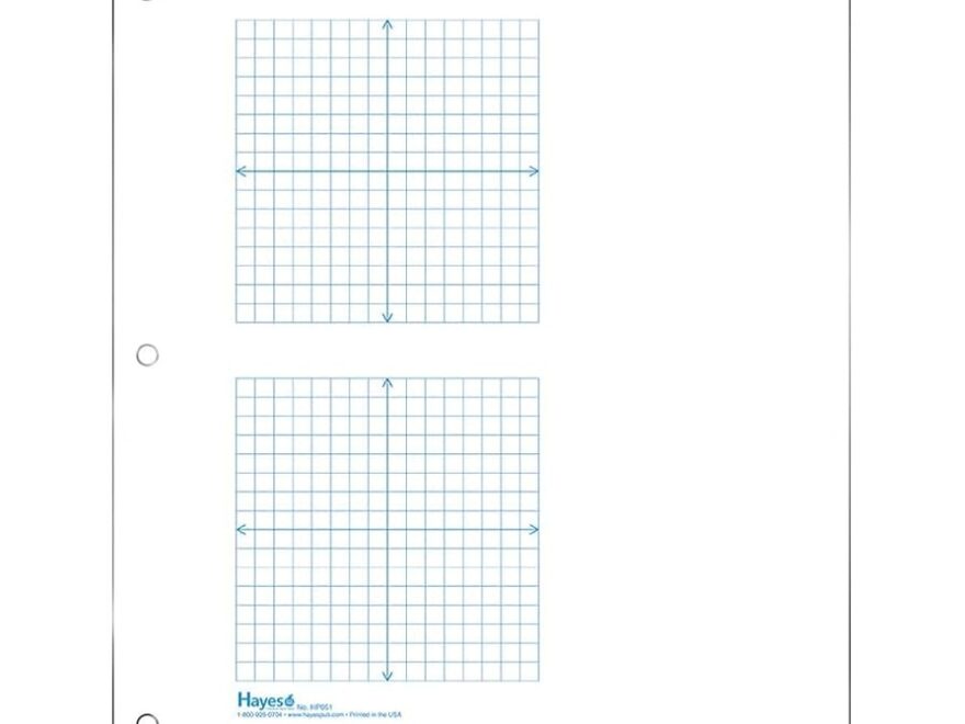 Amazon Geyer Instructional Products 2 Grid Coordinate Plane Graph Paper 1 4 Squares And Accentuated Axes With Arrows Right Half Blank Double Sided Blue Lined 500 Sheet Ream Three Hole Punched Office Products