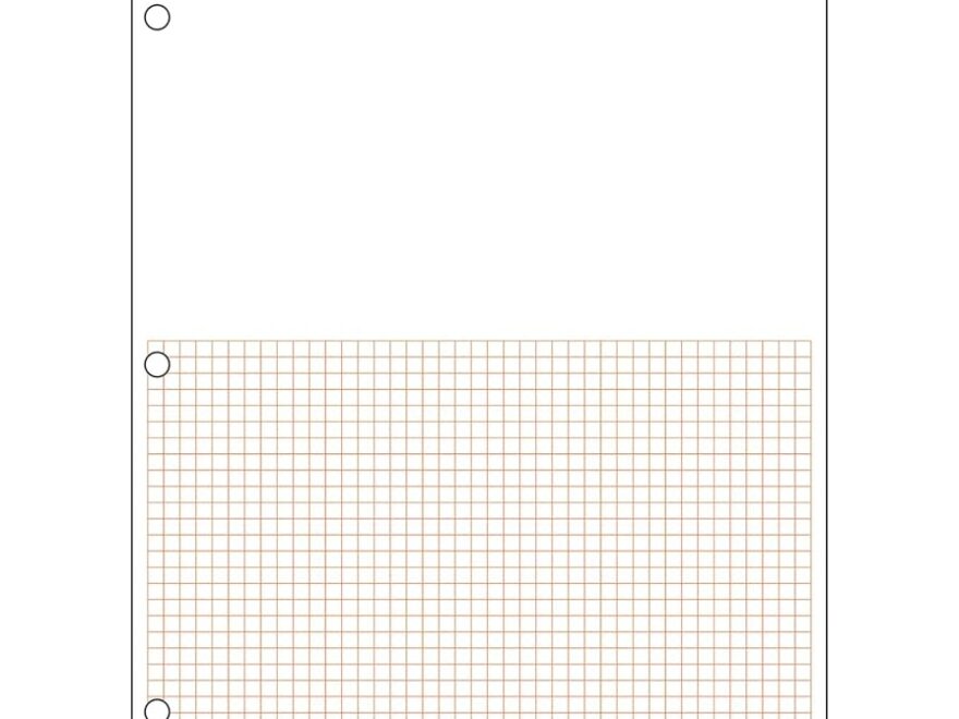 Amazon Geyer Instructional Products Metric Graph Paper Lower Half 1 2 Cm Squares Upper Half Blank Double Sided Red Lined 500 Sheet Ream Three Hole Punched Office Products