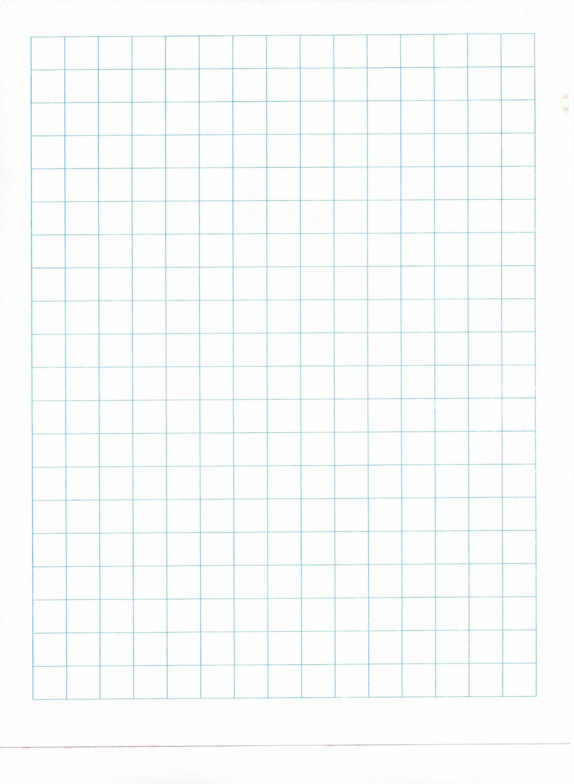 Amazon Miller Pads And Paper 1 2 Graph Paper Ream White 500 Sheets Letter Size Classic Style Office Products