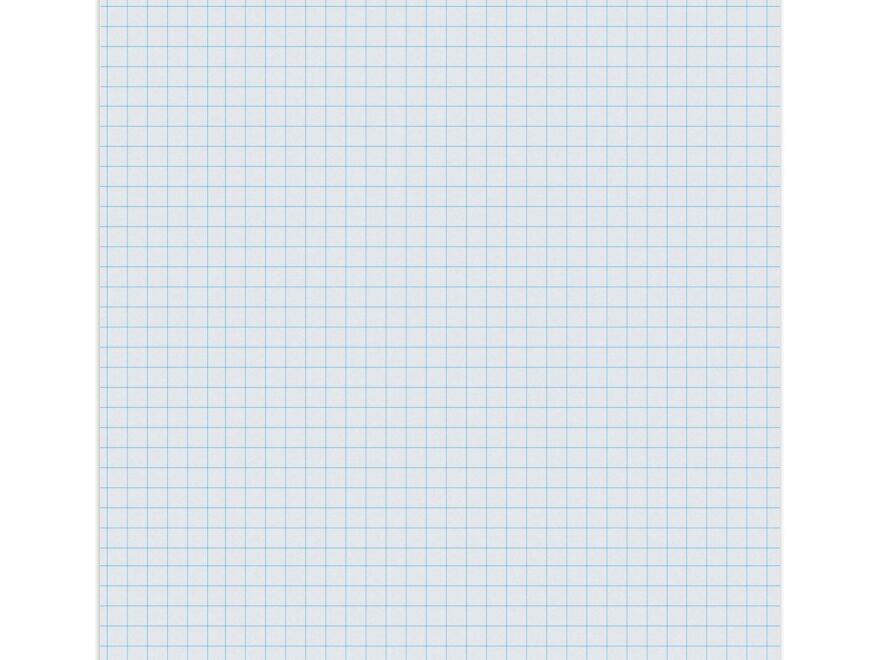 Amazon Pacon Graphing Paper White 1 4 Quadrille Ruled 8 1 2 X 11 500 Sheets Per Pack 2 Packs Office Products