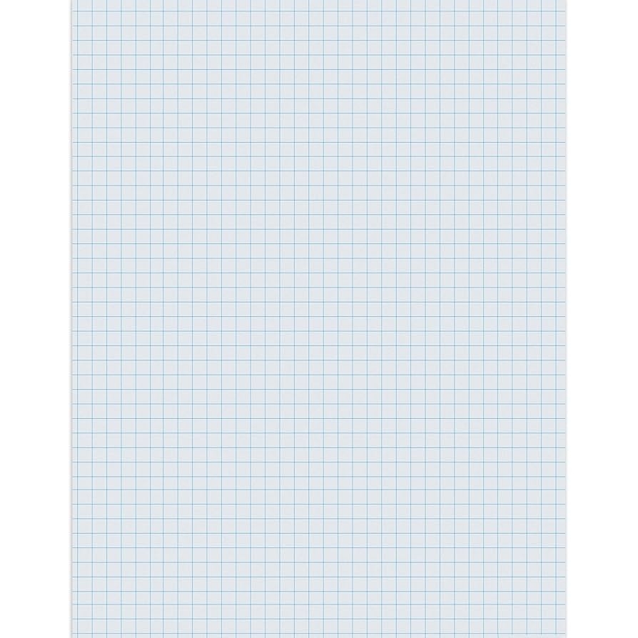Amazon Pacon Graphing Paper White 1 4 Quadrille Ruled 8 1 2 X 11 500 Sheets Per Pack 2 Packs Office Products