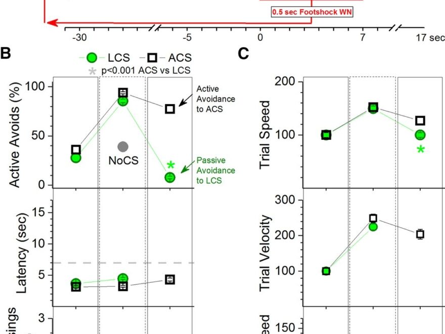 Basal Ganglia Output Has A Permissive Non Driving Role In A Signaled Locomotor Action Mediated By The Midbrain Journal Of Neuroscience