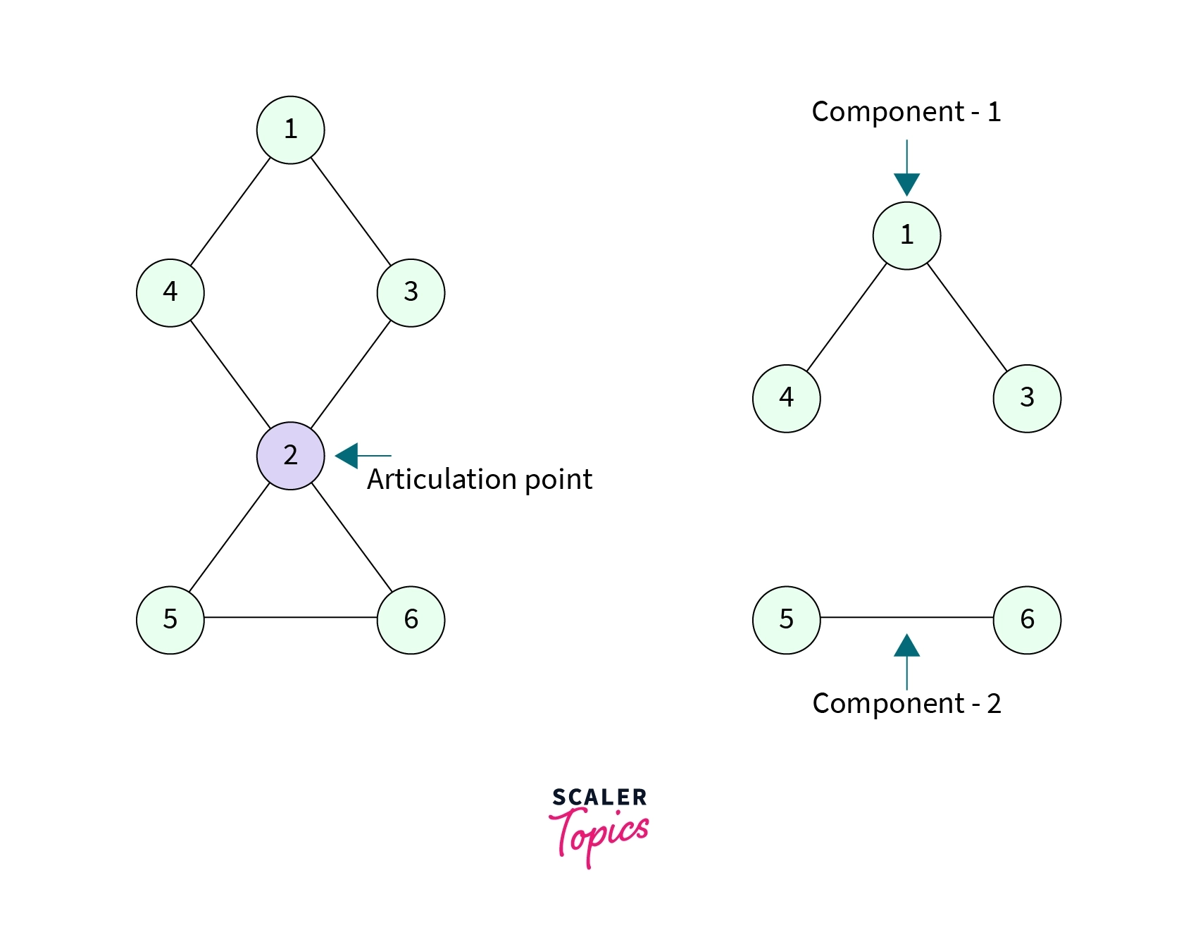 Components Of A Graph