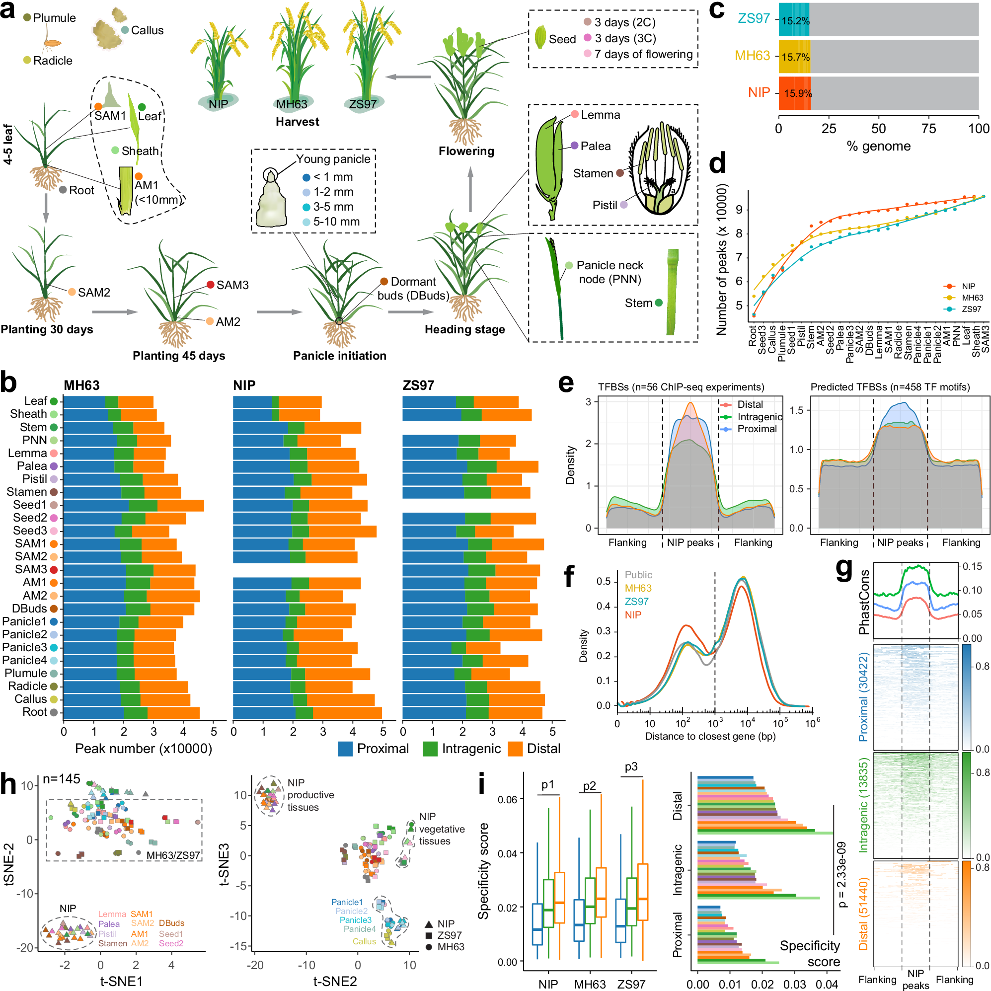 Log-Linear Graph Landscape Paper