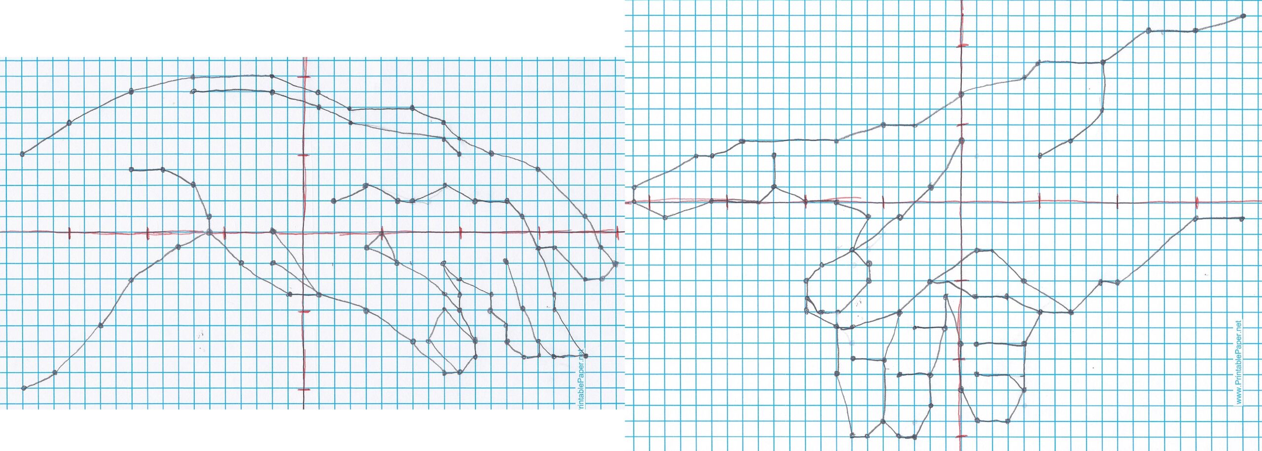 Coordinated Creativity Sallie Draper