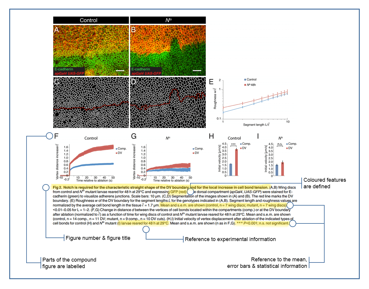 Creating Scientific Graphs And Tables Displaying Your Data CLIPS Creating Scientific Graphs And Tables Displaying Your Data CLIPS