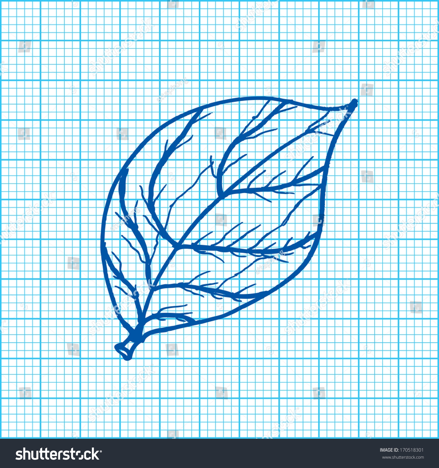 Drawing Leaves On Graph Paper Vector Stock Vector Royalty Free 170518301 Shutterstock