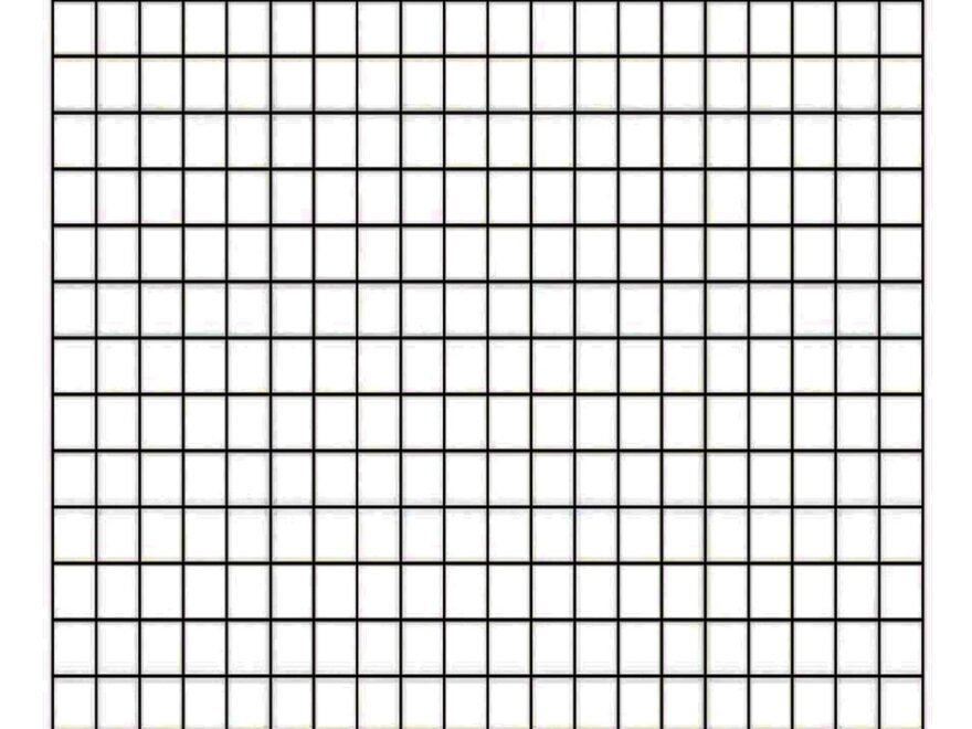 Free Printable Blank Graph Paper PDF Printerfriendly