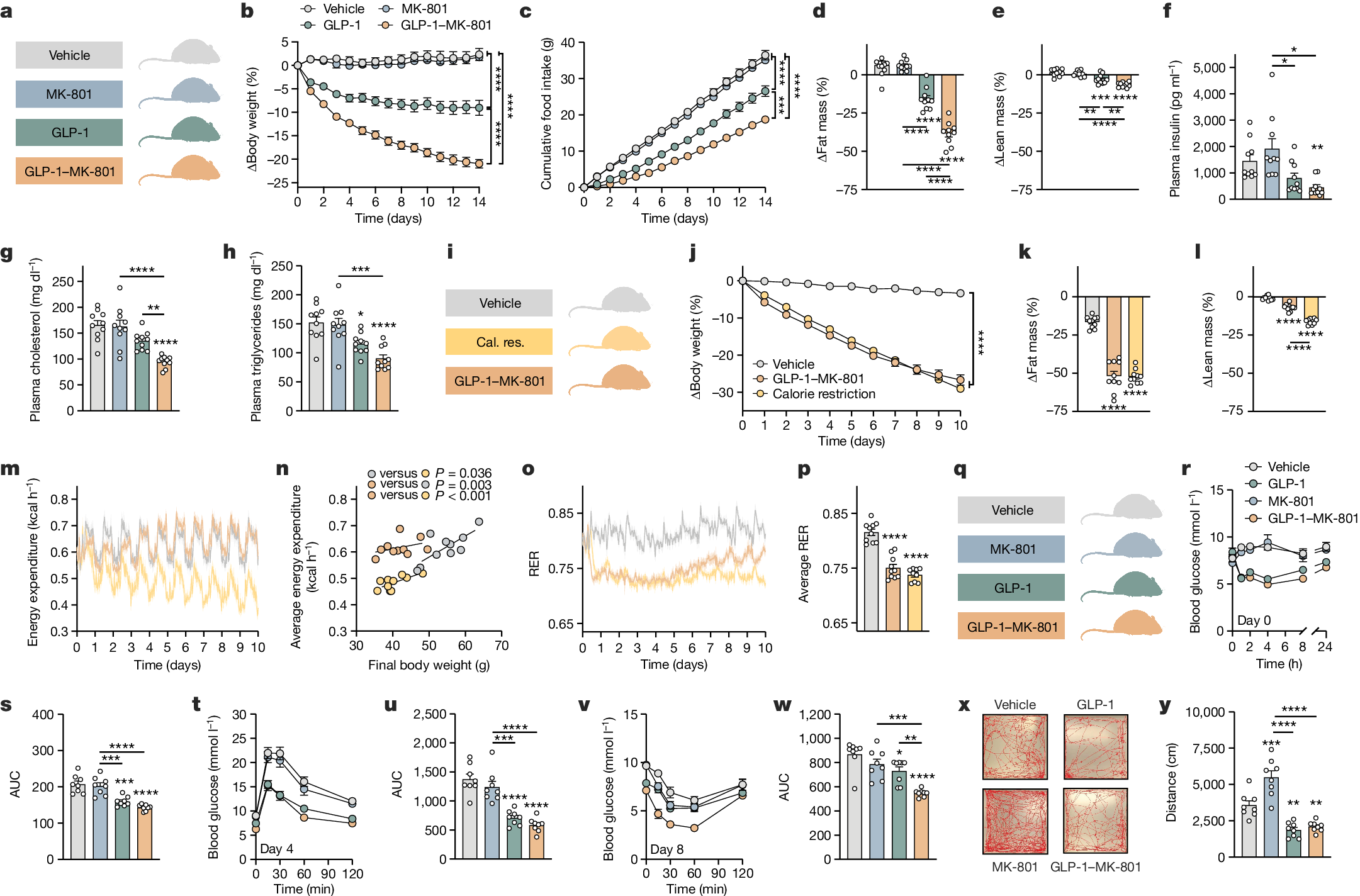 GLP 1 directed NMDA Receptor Antagonism For Obesity Treatment Nature