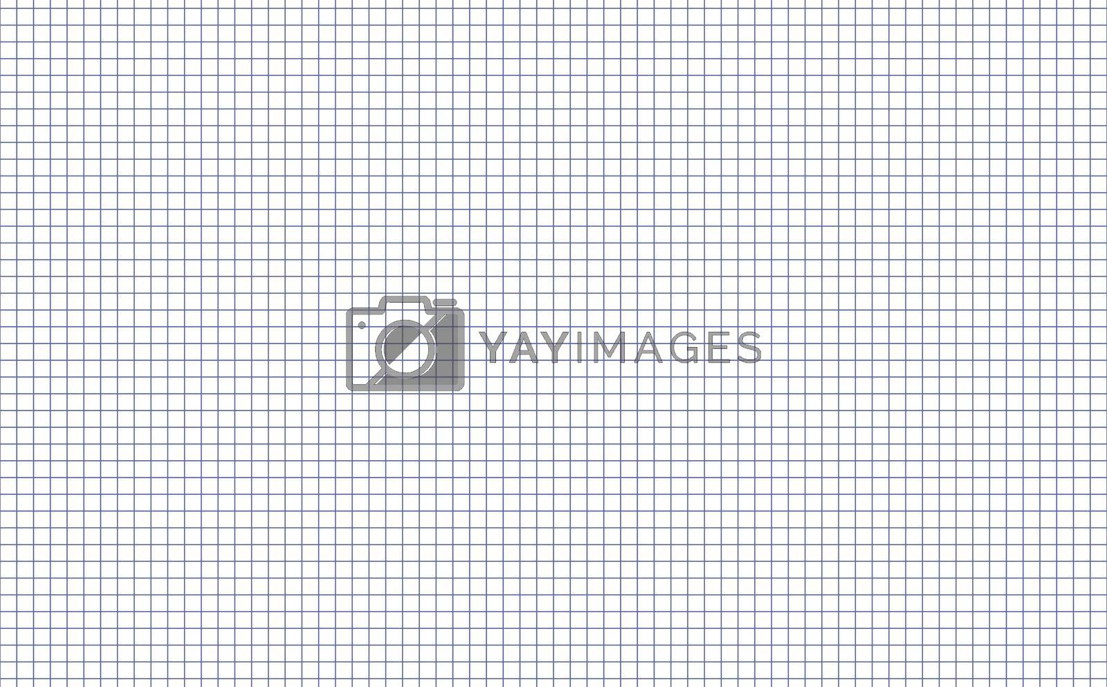 Free Printable Large Grid Graph Paper