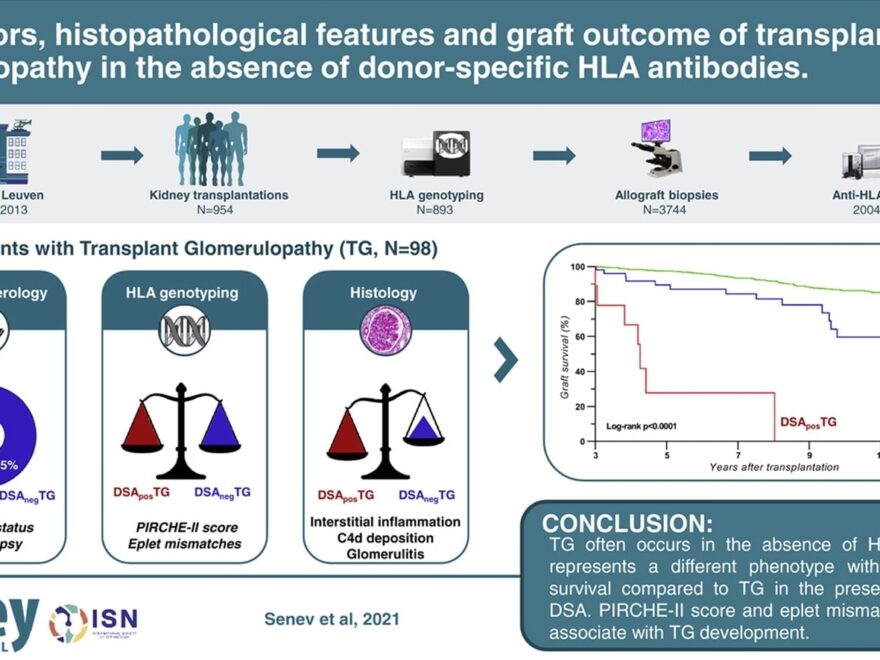 Graphical Abstract In Elsevier Journals