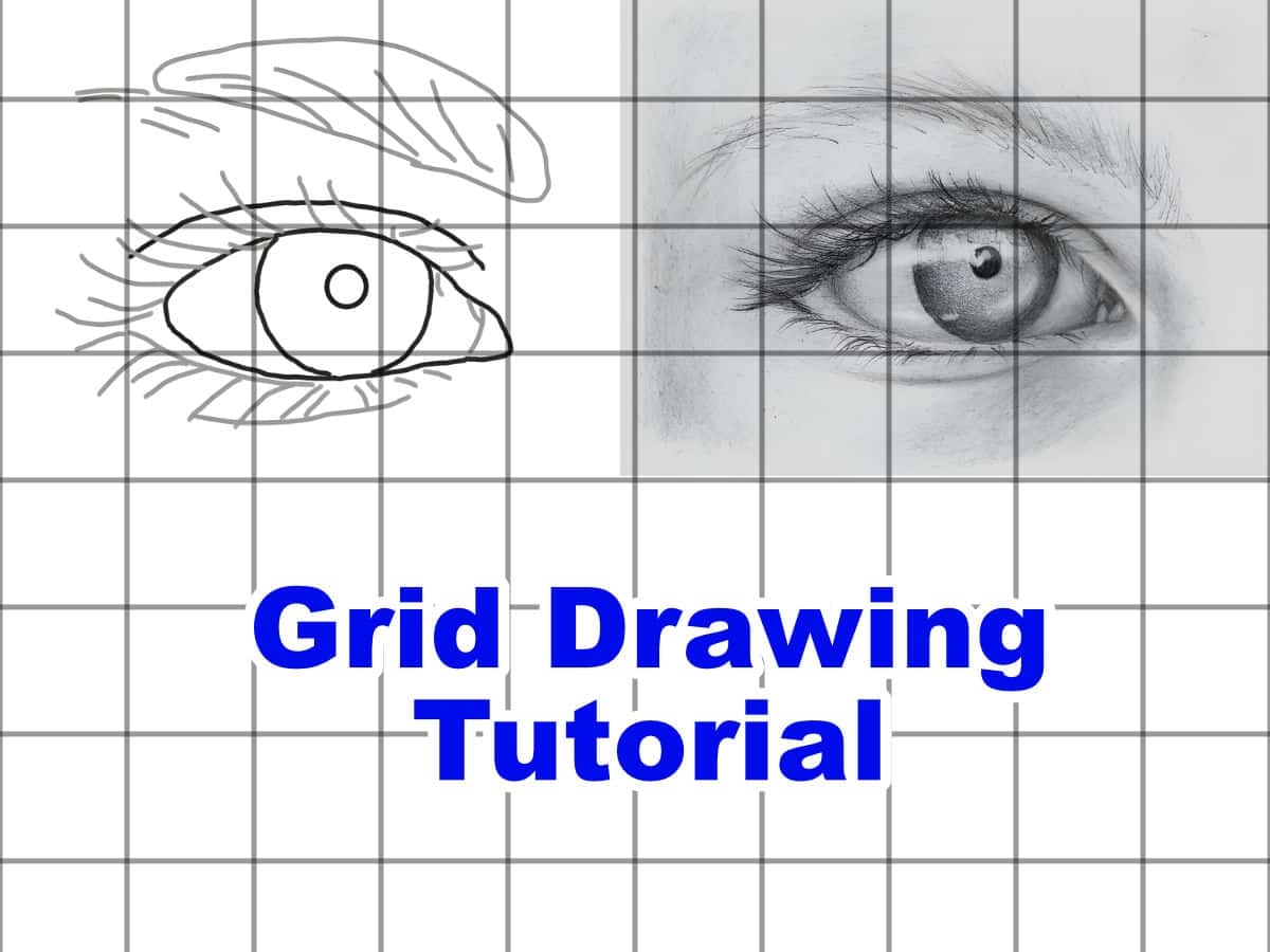 Grid Drawing Tutorial Online Art Lessons