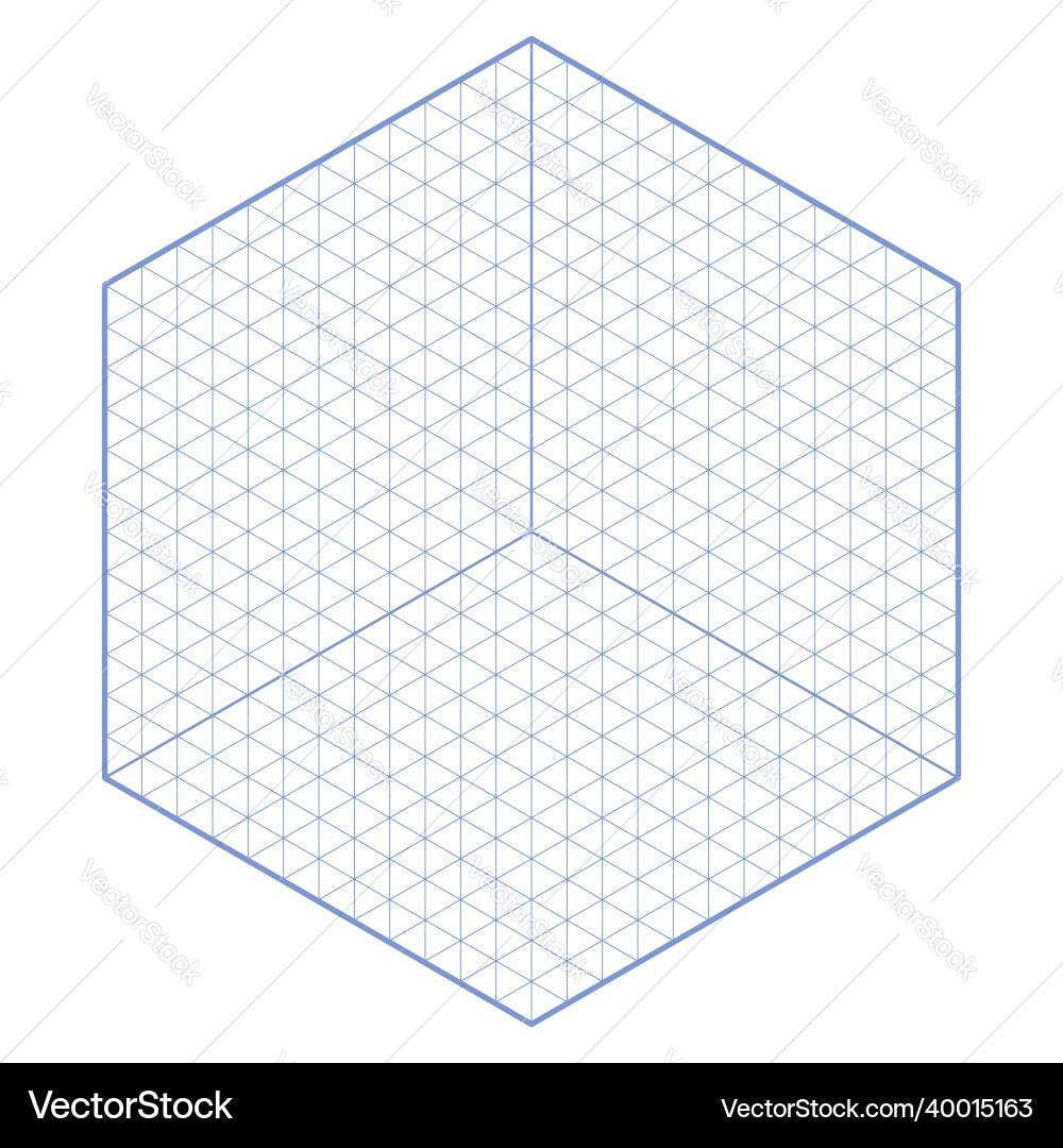 Hexagonal Isometric Grid Template Royalty Free Vector Image