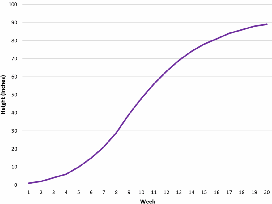 How To Read A Semi Log Graph With Examples
