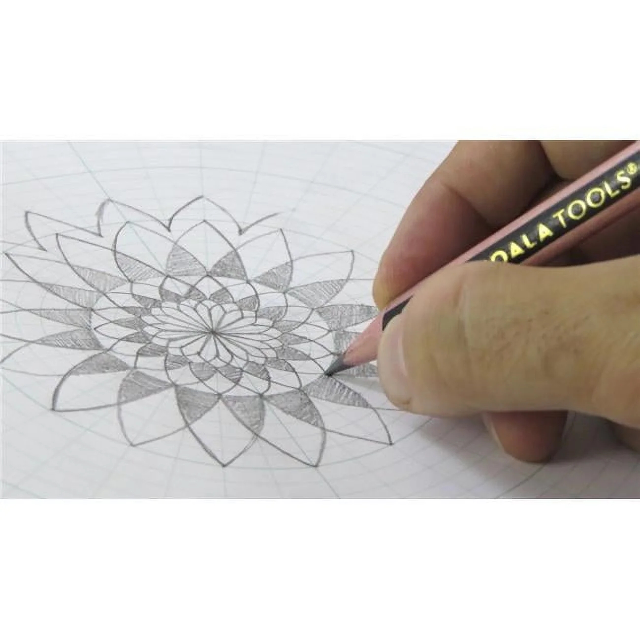 Polar Graph Paper Notebook