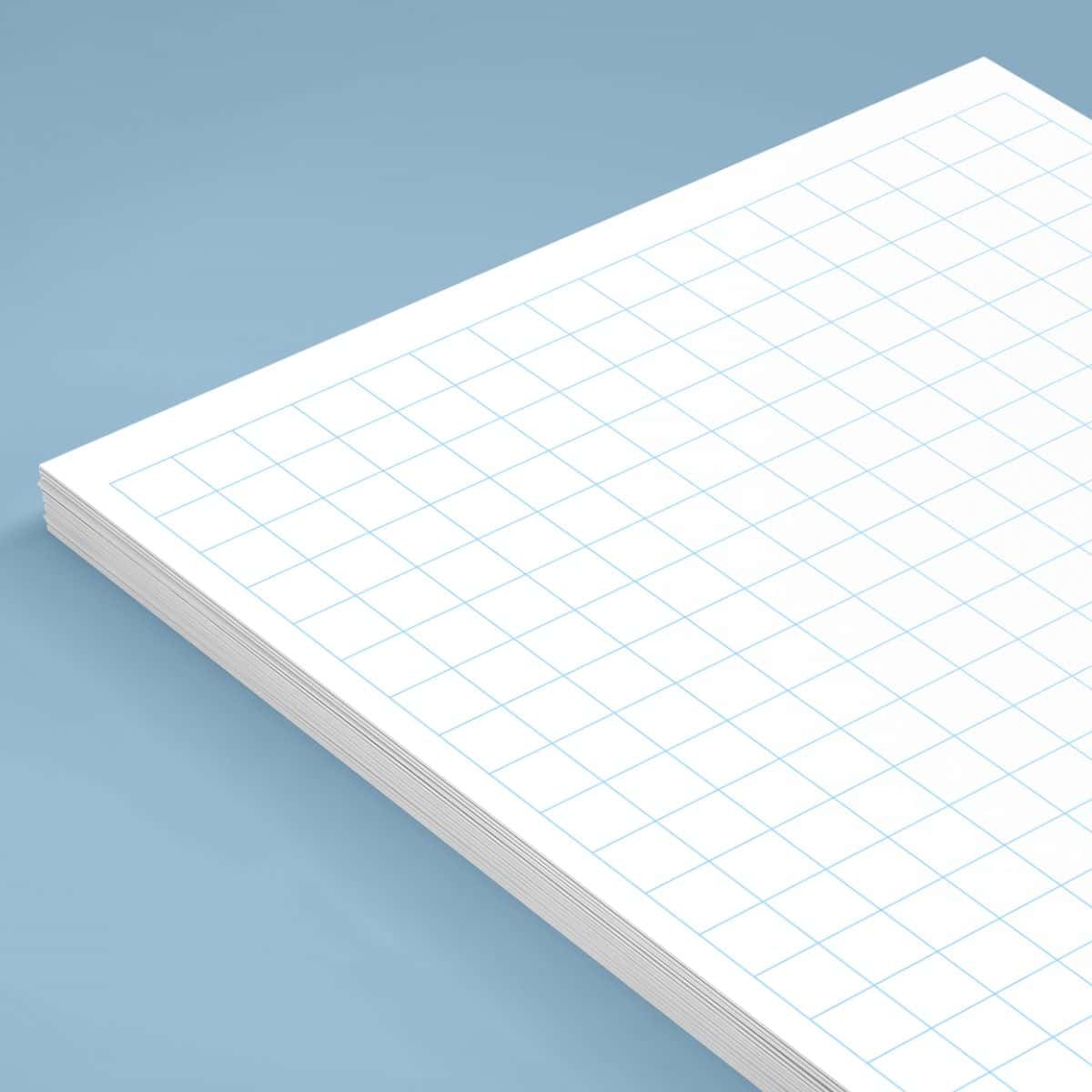 Printable Sheet Graph Paper Large