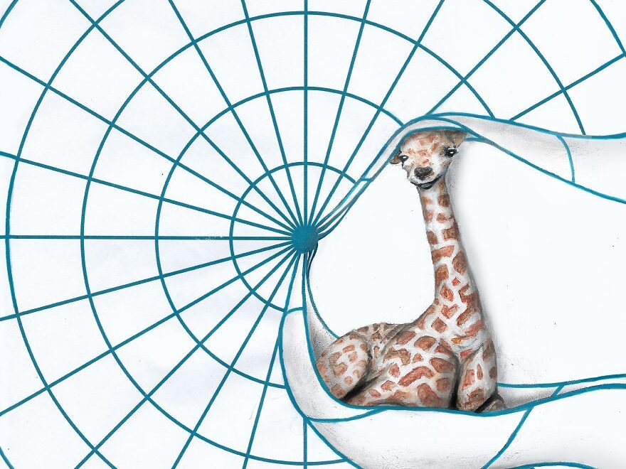 My 8 Animal Drawings On Lined Dotted And Graph Paper Are Made To Look Like They Are Playing On The Page Bored Panda