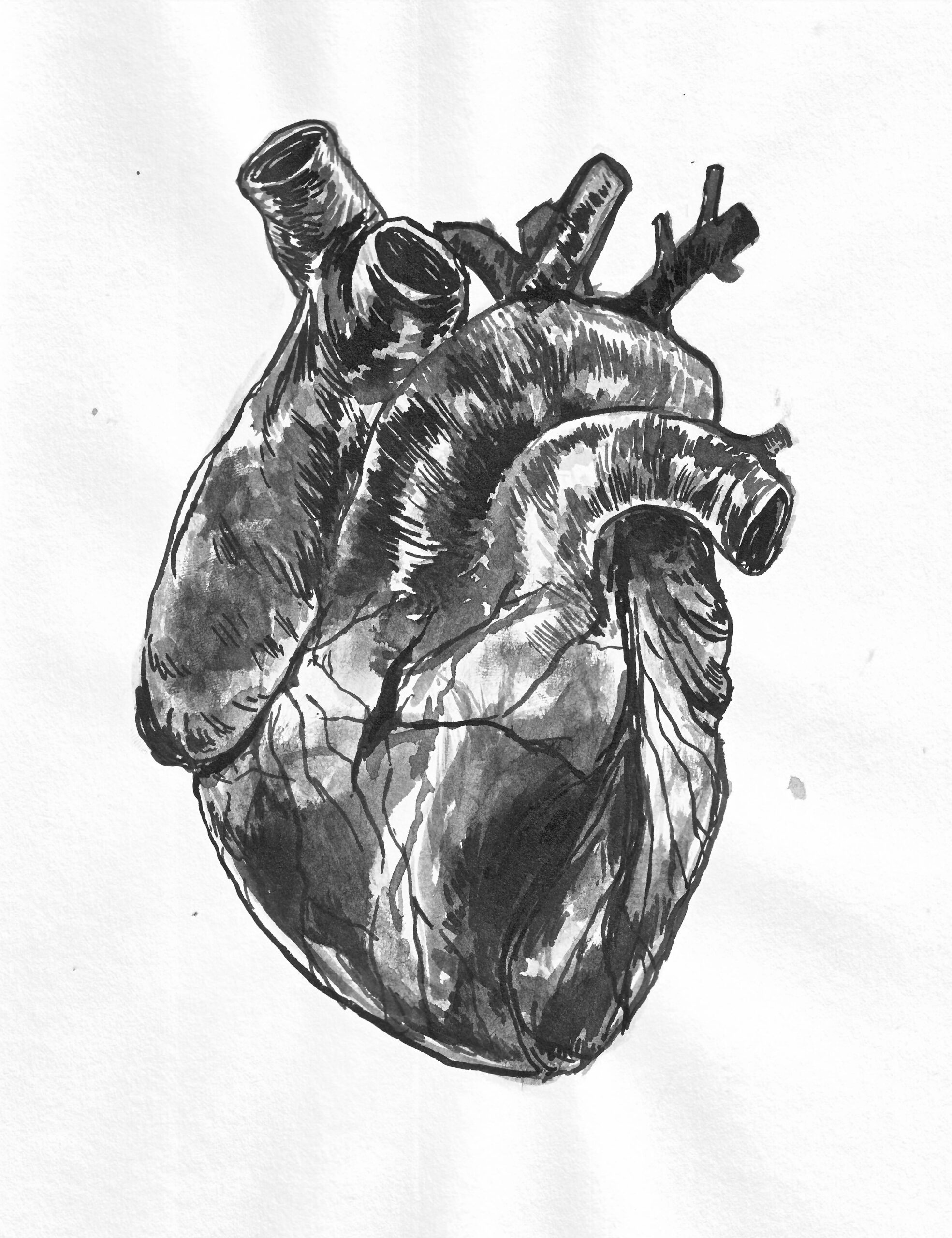 Puso Heart Sumi Ink A4 R Art