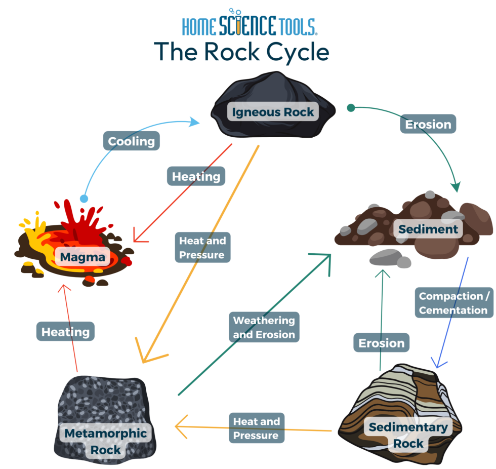 Rock Cycle Steps Science Project HST Earth Science K 6