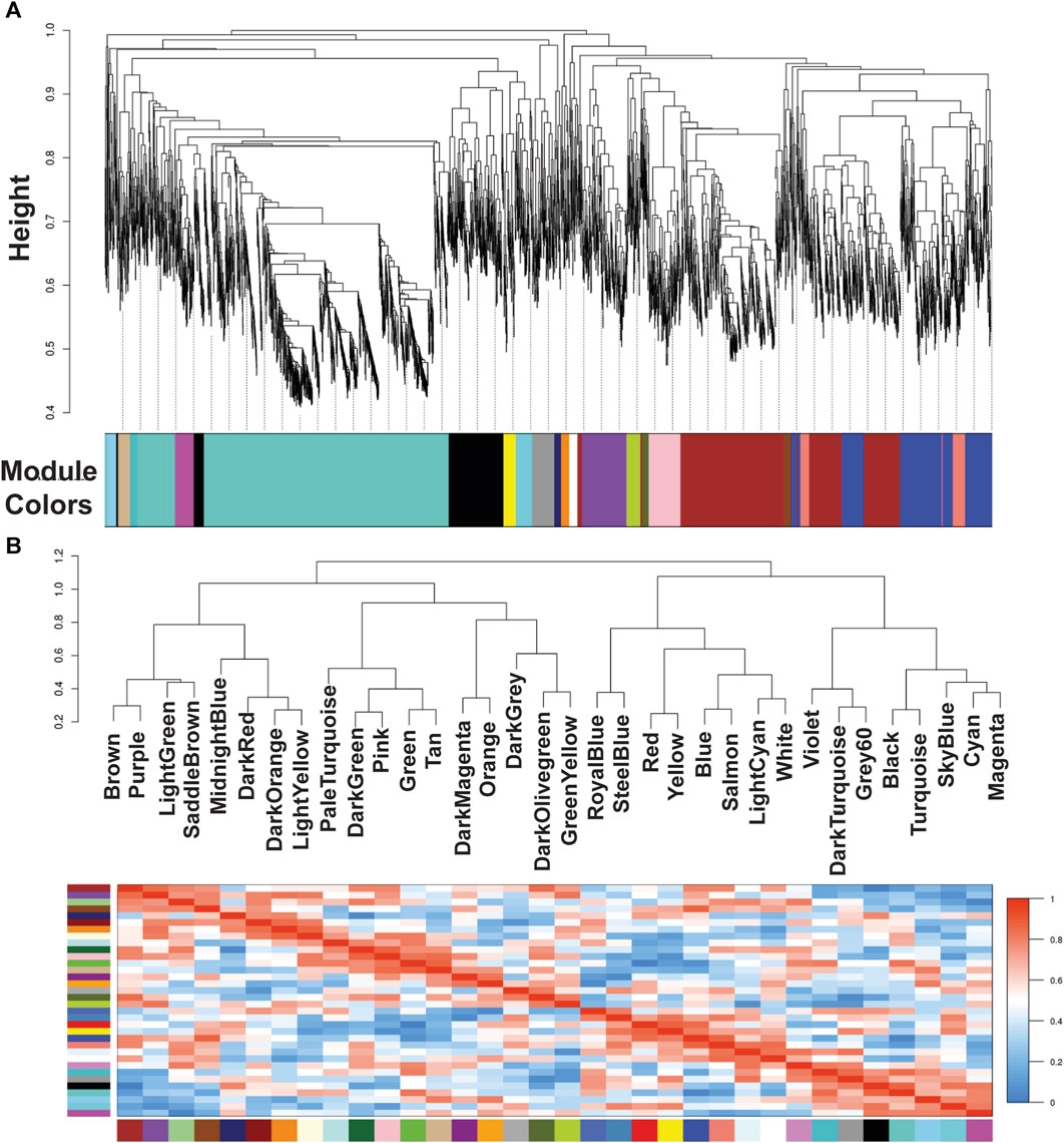 Tgc Graph Dotted Line