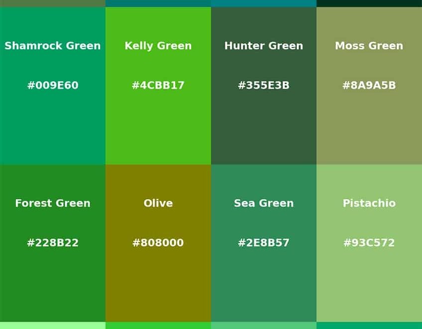 Shades Of Green Color The 100 Must See Tones
