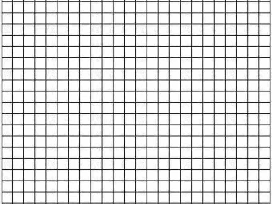 Staar Grid Paper Template Download PDF