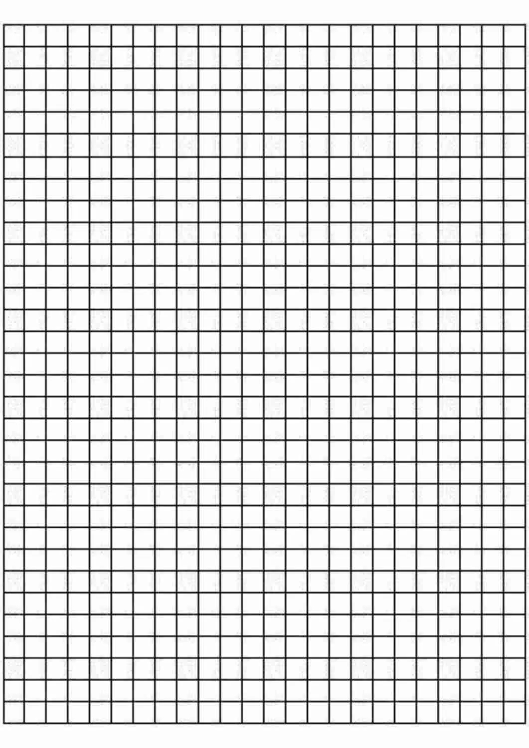 Staar Grid Paper Template Download PDF