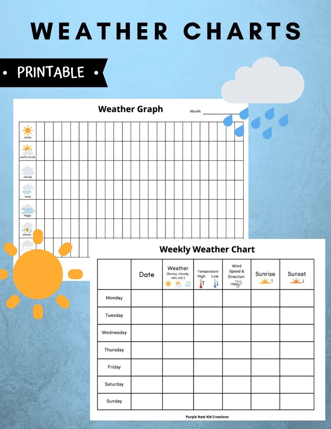 Weather Charts Weather Graph Weather Graph Worksheet Morning Activity Temperature Digital Download Educational Printable Homeschool Etsy