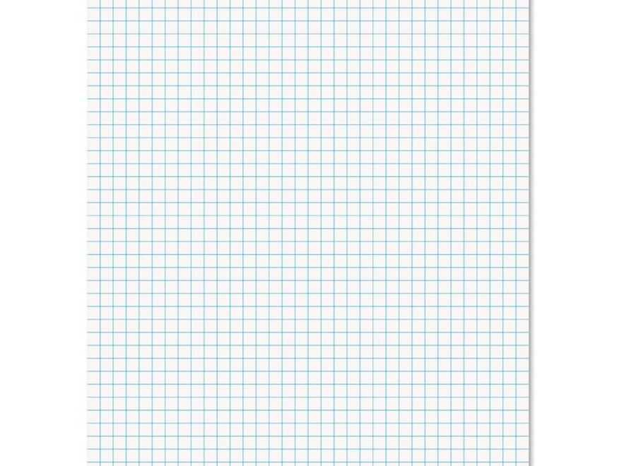 Amazon Ampad 8 1 2 X 11 Inches White Quad Pad 4 Square Inch 50 Sheets 1 Each 22 030C Graph Paper Office Products