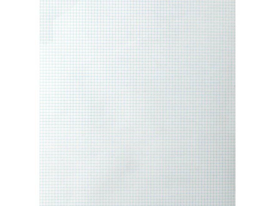 Amazon Pacific Arc Quadrille Paper Pack 100 Sheets 11 Inch X 17 Inch 8 X 8 Grid Office Products