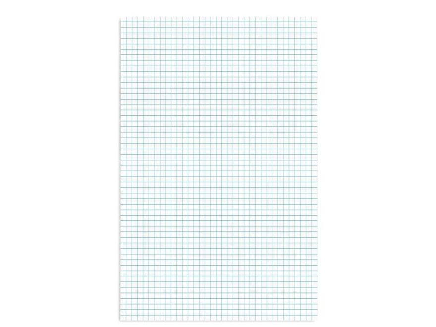 Amazon Staples 814566 Graph Pad 11 Inch X 17 Inch Graph White 50 Sheets Pad 18586 Office Products