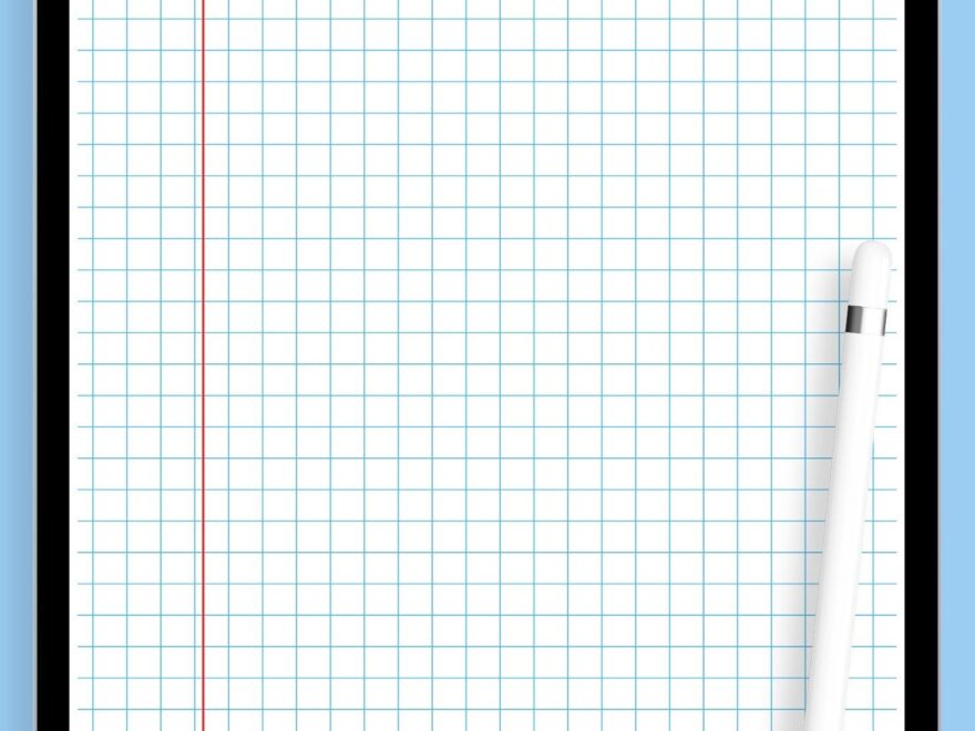 Download Printable Squared Wide Ruled Blue With Margin PDF