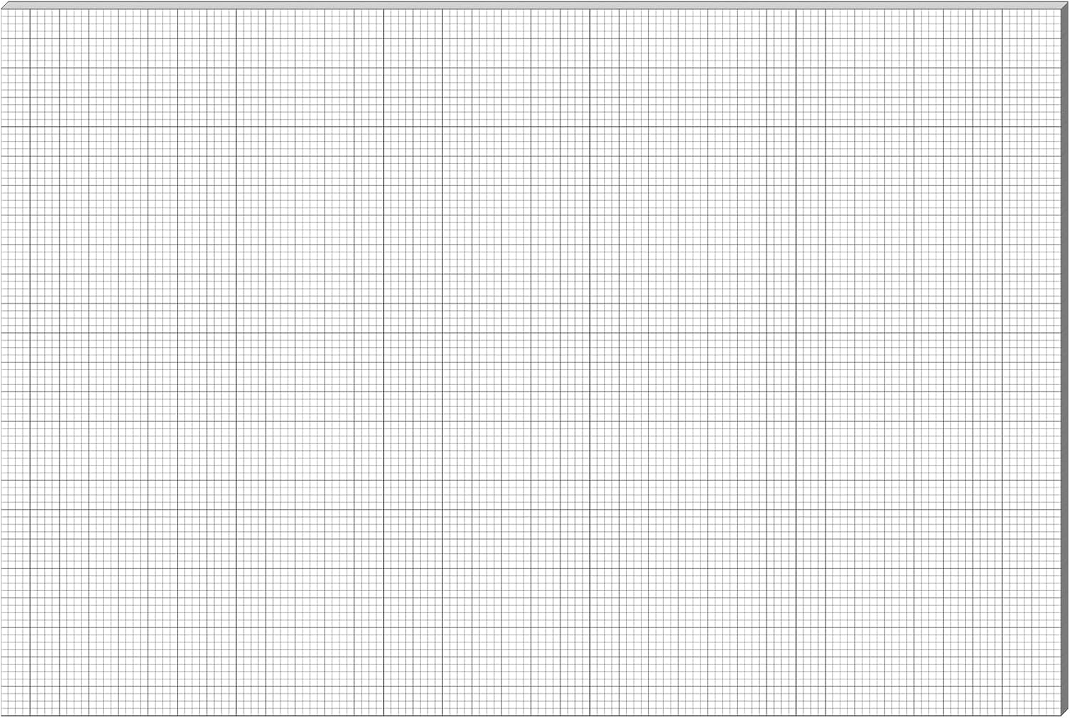 Giant Graph Paper Large Format Graph Paper Pad 24 x36 1 4 1 Grids 25 Sheets A5 Paper