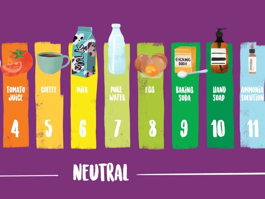 How Does A Log Scale Work DataClassroom