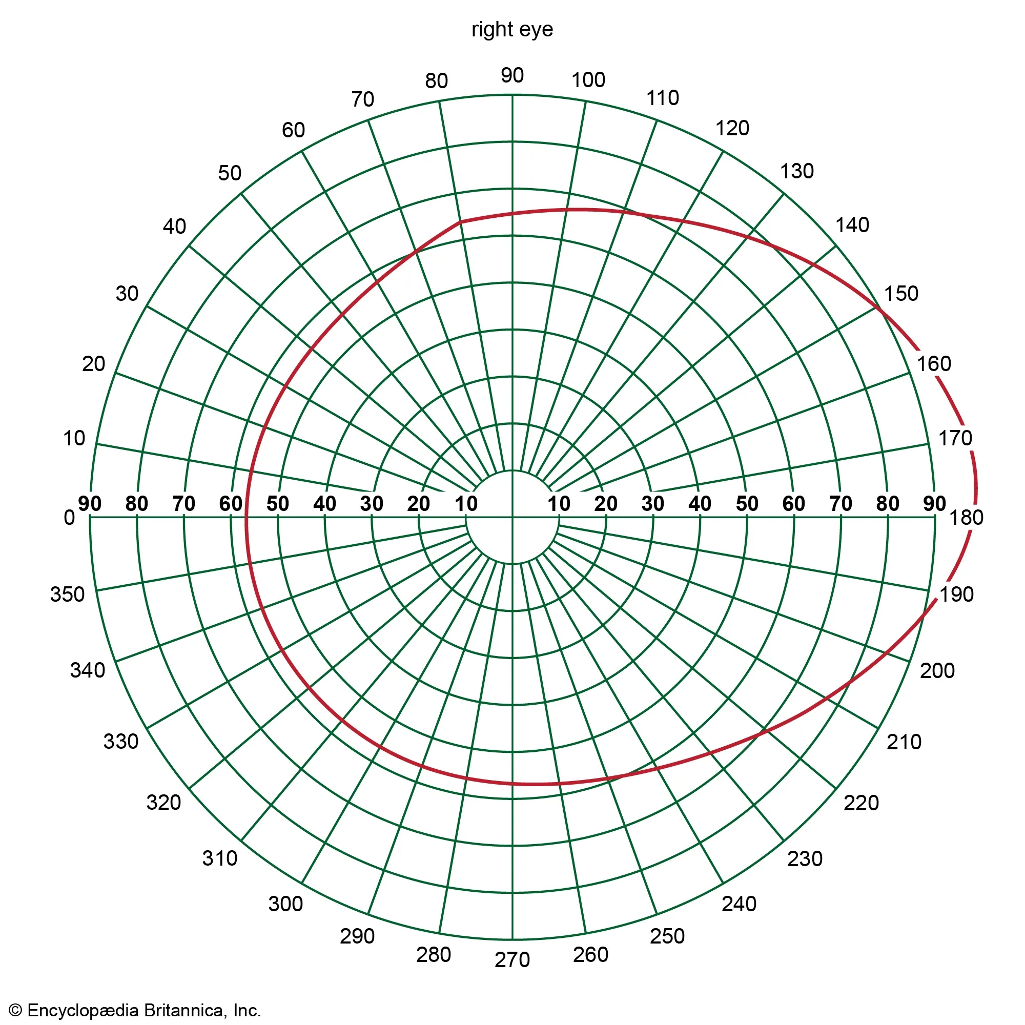 Human Eye The Perception Of Depth Britannica