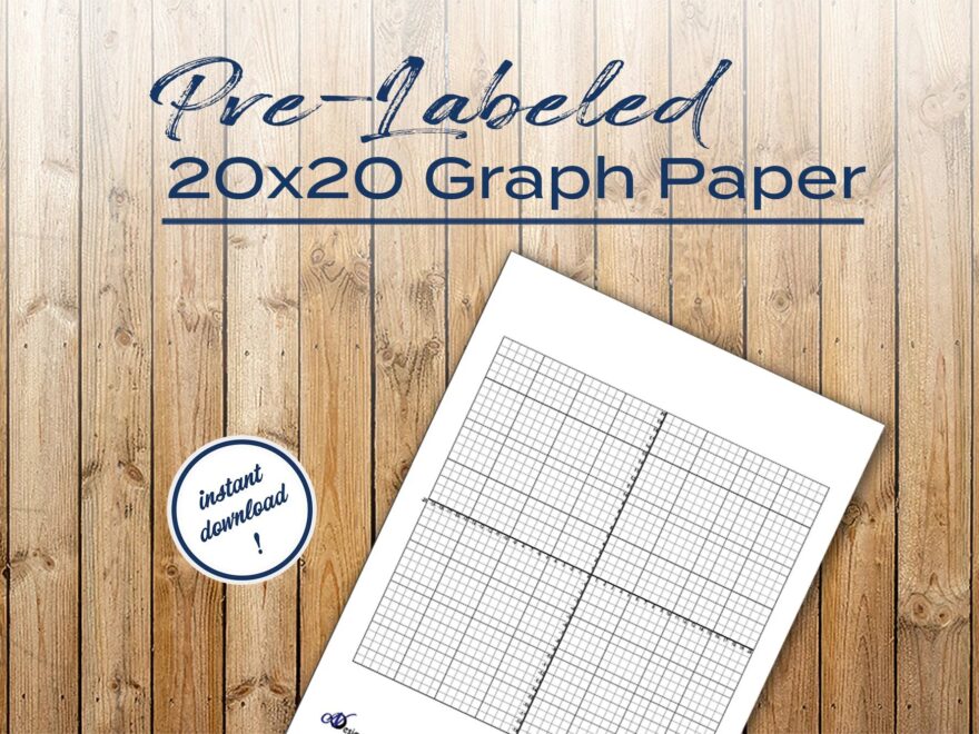 Pre labeled Graph Paper 20 To 20 Etsy