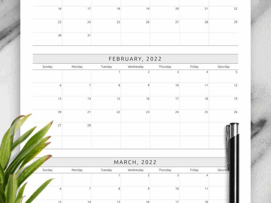 Quarterly Calendar Template Plan 3 Months In One PDF View
