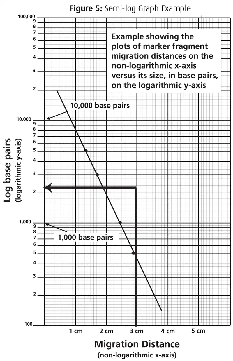 Quick Guide Using Technology To Create A Standard Curve