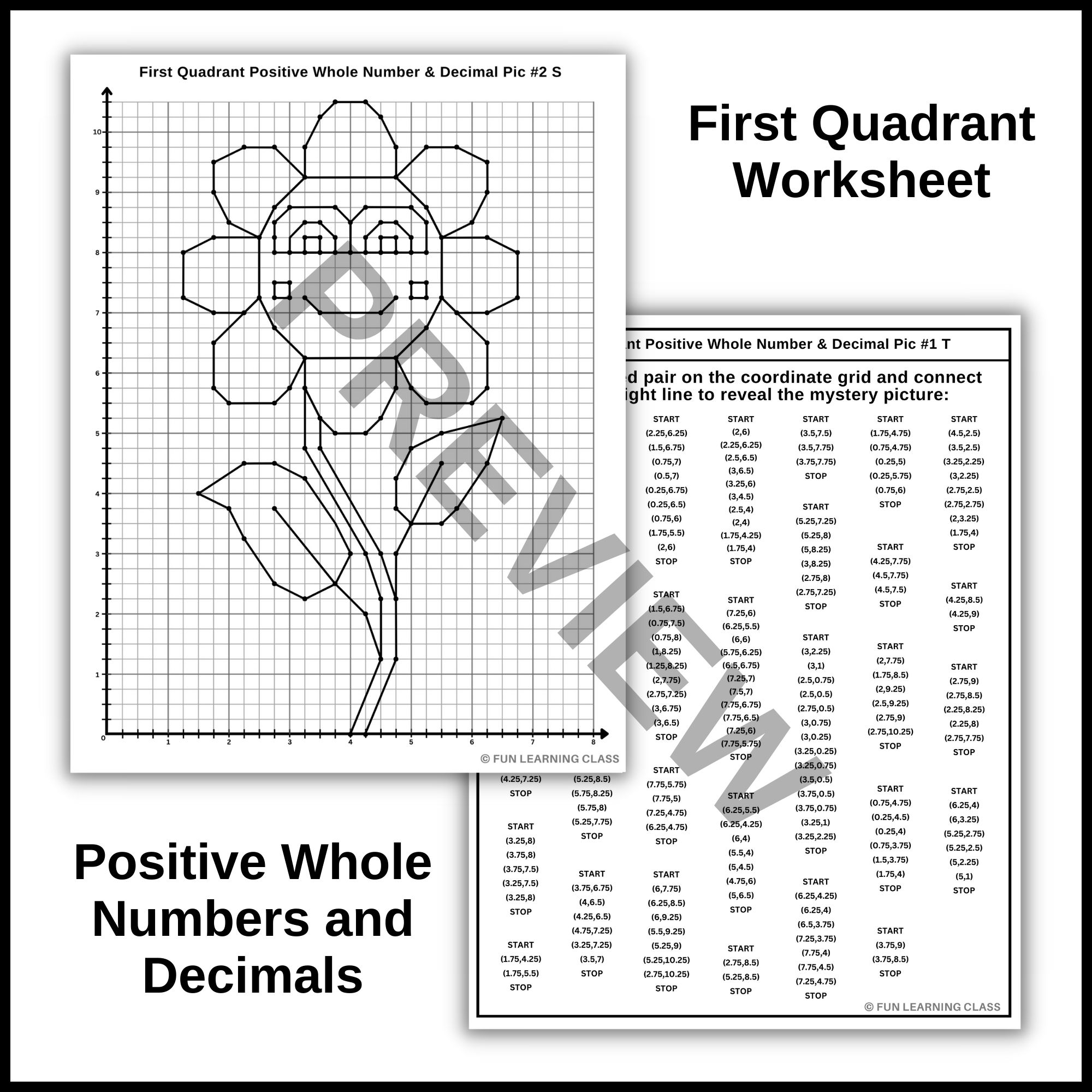 Quadrant Graph Paper Biology
